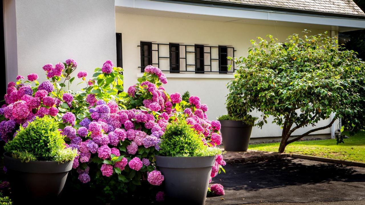 Le Champ Du Renne Bed & Breakfast Le Mans Bagian luar foto